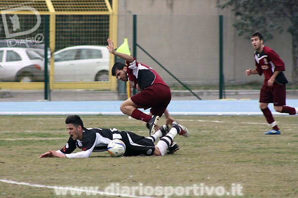 Porcu ferma Di Pietro
